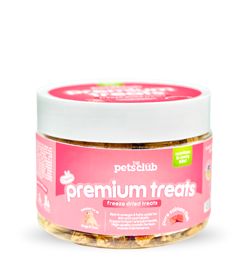 Freeze Dried Treats - Salmon Fish