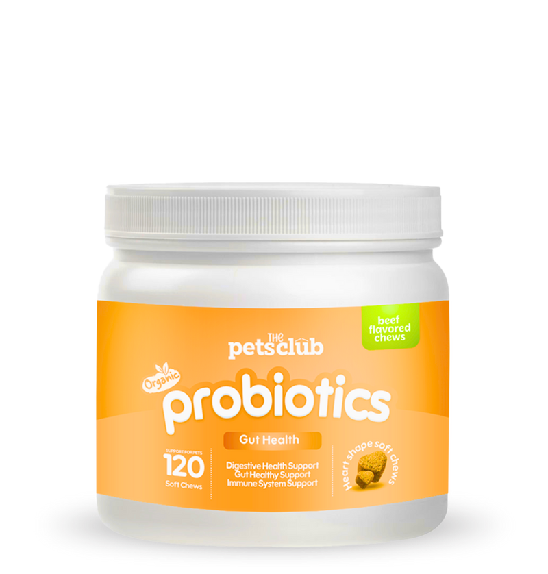 Heart-Shaped Probiotic Chews – Beef Flavor