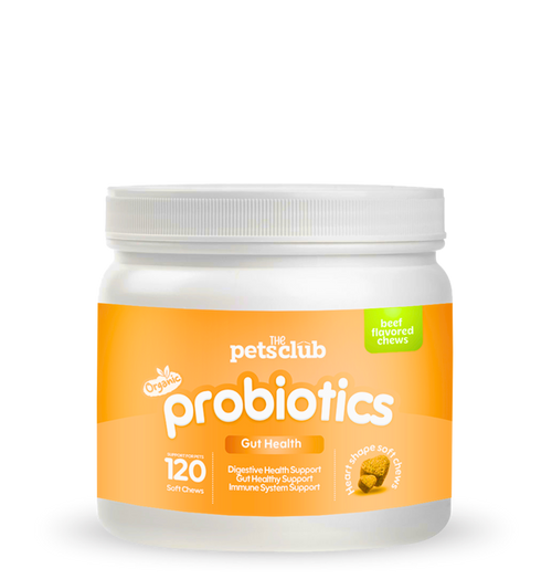 Heart-Shaped Probiotic Chews – Beef Flavor